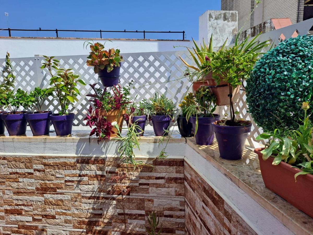 Apartmán Atico Duplex Marques De Reyes Sevilla Exteriér fotografie